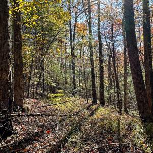 Photo #47 of Off Handy Mountain Dr, Stuart, VA 47.0 acres