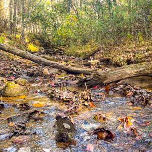 Photo #48 of Off Handy Mountain Dr, Stuart, VA 47.0 acres