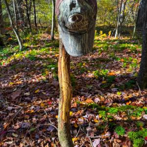 Photo #52 of Off Handy Mountain Dr, Stuart, VA 47.0 acres