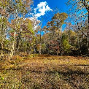 Photo #54 of Off Handy Mountain Dr, Stuart, VA 47.0 acres