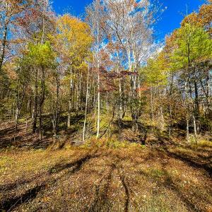 Photo #55 of Off Handy Mountain Dr, Stuart, VA 47.0 acres