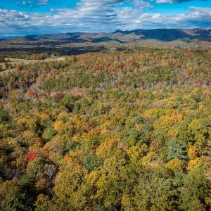 Photo #58 of Off Handy Mountain Dr, Stuart, VA 47.0 acres