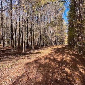 Photo #3 of Off Acres Hills Dr, Dewitt, VA 15.0 acres