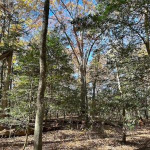 Photo #5 of Off Acres Hills Dr, Dewitt, VA 15.0 acres