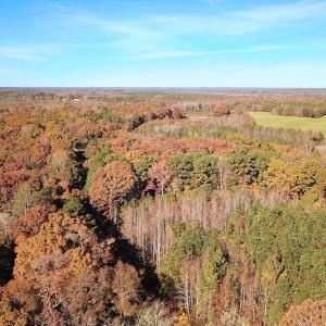 Photo #6 of Off Acres Hills Dr, Dewitt, VA 15.0 acres