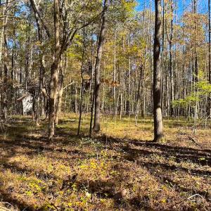 Photo #8 of Off Acres Hills Dr, Dewitt, VA 15.0 acres