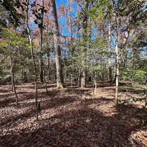 Photo #9 of Off Acres Hills Dr, Dewitt, VA 15.0 acres