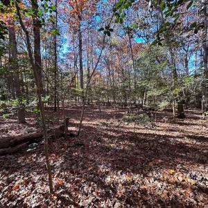 Photo #10 of Off Acres Hills Dr, Dewitt, VA 15.0 acres