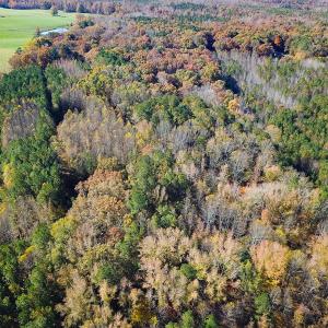 Photo #13 of Off Acres Hills Dr, Dewitt, VA 15.0 acres