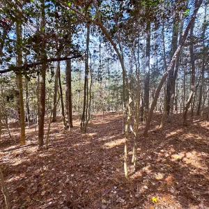 Photo #15 of Off Acres Hills Dr, Dewitt, VA 15.0 acres