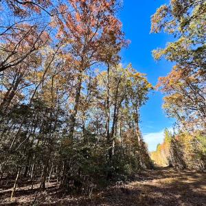 Photo #16 of Off Acres Hills Dr, Dewitt, VA 15.0 acres