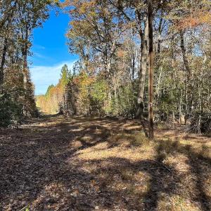 Photo #17 of Off Acres Hills Dr, Dewitt, VA 15.0 acres