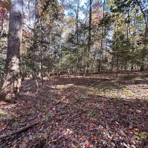 Photo #19 of Off Acres Hills Dr, Dewitt, VA 15.0 acres