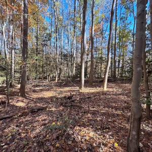Photo #21 of Off Acres Hills Dr, Dewitt, VA 15.0 acres