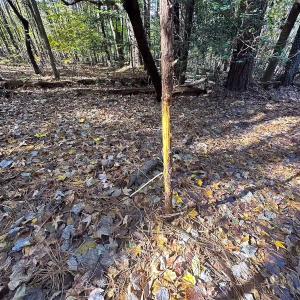 Photo #22 of Off Acres Hills Dr, Dewitt, VA 15.0 acres