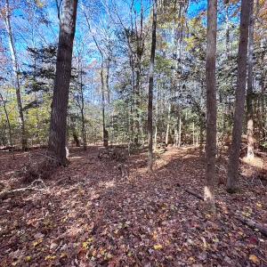 Photo #24 of Off Acres Hills Dr, Dewitt, VA 15.0 acres