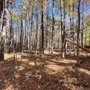 Photo #25 of Off Acres Hills Dr, Dewitt, VA 15.0 acres