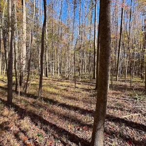 Photo #26 of Off Acres Hills Dr, Dewitt, VA 15.0 acres