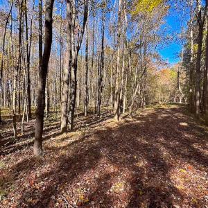 Photo #30 of Off Acres Hills Dr, Dewitt, VA 15.0 acres