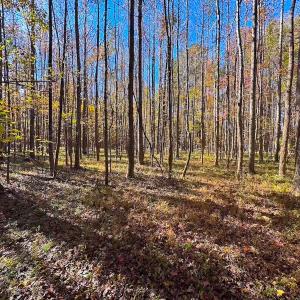 Photo #31 of Off Acres Hills Dr, Dewitt, VA 15.0 acres