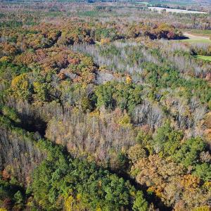Photo #34 of Off Acres Hills Dr, Dewitt, VA 15.0 acres