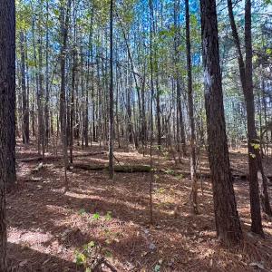 Photo #35 of Off Acres Hills Dr, Dewitt, VA 15.0 acres