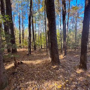 Photo #37 of Off Acres Hills Dr, Dewitt, VA 15.0 acres