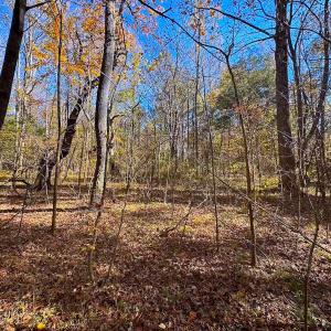 Photo #39 of Off Acres Hills Dr, Dewitt, VA 15.0 acres