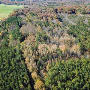 Photo #40 of Off Acres Hills Dr, Dewitt, VA 15.0 acres