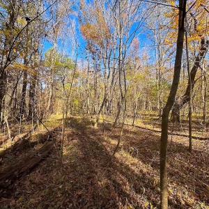 Photo #41 of Off Acres Hills Dr, Dewitt, VA 15.0 acres