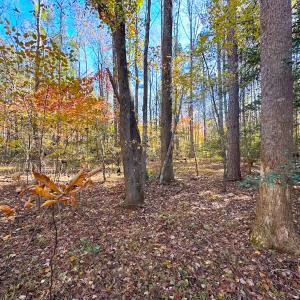 Photo #43 of Off Acres Hills Dr, Dewitt, VA 15.0 acres