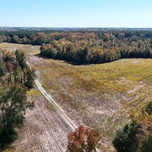 Photo #2 of Off Martin Luther King Jr Drive, Lumberton, NC 38.5 acres