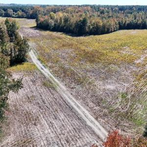 Photo #4 of Off Martin Luther King Jr Drive, Lumberton, NC 38.5 acres