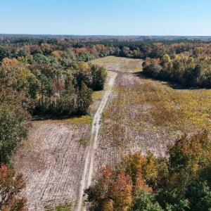 Photo #5 of Off Martin Luther King Jr Drive, Lumberton, NC 38.5 acres