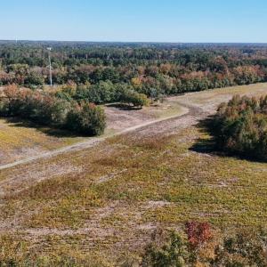 Photo #6 of Off Martin Luther King Jr Drive, Lumberton, NC 38.5 acres