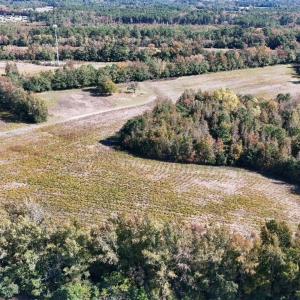 Photo #7 of Off Martin Luther King Jr Drive, Lumberton, NC 38.5 acres