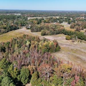 Photo #8 of Off Martin Luther King Jr Drive, Lumberton, NC 38.5 acres