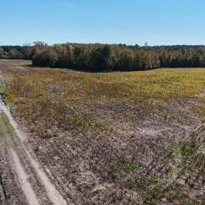 Photo #9 of Off Martin Luther King Jr Drive, Lumberton, NC 38.5 acres