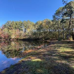 Photo #1 of Off W. Powersville Rd, Lumberton, NC 49.0 acres