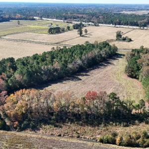 Photo #10 of Off W. Powersville Rd, Lumberton, NC 49.0 acres