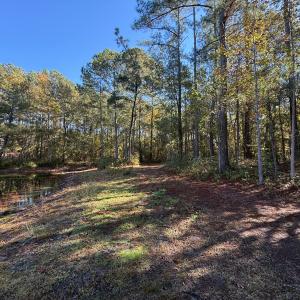Photo #12 of Off W. Powersville Rd, Lumberton, NC 49.0 acres