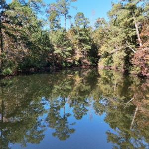 Photo #13 of Off W. Powersville Rd, Lumberton, NC 49.0 acres