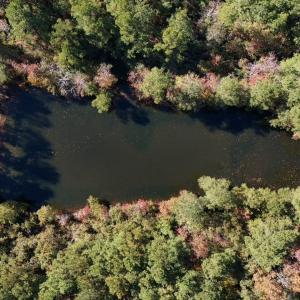 Photo #14 of Off W. Powersville Rd, Lumberton, NC 49.0 acres