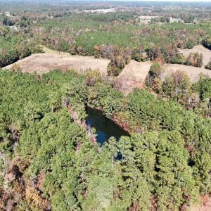 Photo #15 of Off W. Powersville Rd, Lumberton, NC 49.0 acres