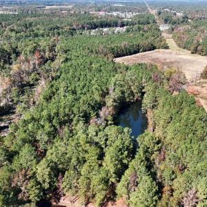 Photo #17 of Off W. Powersville Rd, Lumberton, NC 49.0 acres