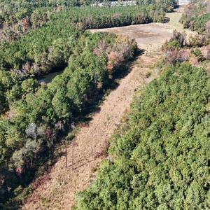 Photo #18 of Off W. Powersville Rd, Lumberton, NC 49.0 acres