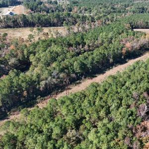 Photo #19 of Off W. Powersville Rd, Lumberton, NC 49.0 acres