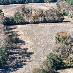 Photo #20 of Off W. Powersville Rd, Lumberton, NC 49.0 acres