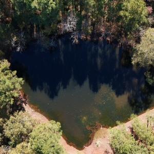 Photo #21 of Off W. Powersville Rd, Lumberton, NC 49.0 acres