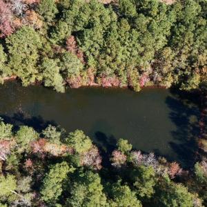 Photo #22 of Off W. Powersville Rd, Lumberton, NC 49.0 acres